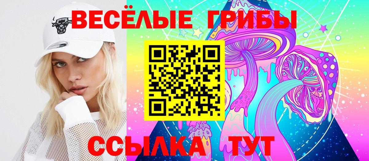 Ликино-Дулёво  Псилоцибиновые грибы GOLDEN TEACHER  Вход с VPN 