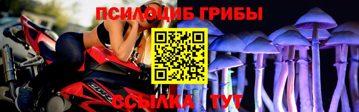 Галлюциногенные грибы Psilocybe Ликино-Дулёво